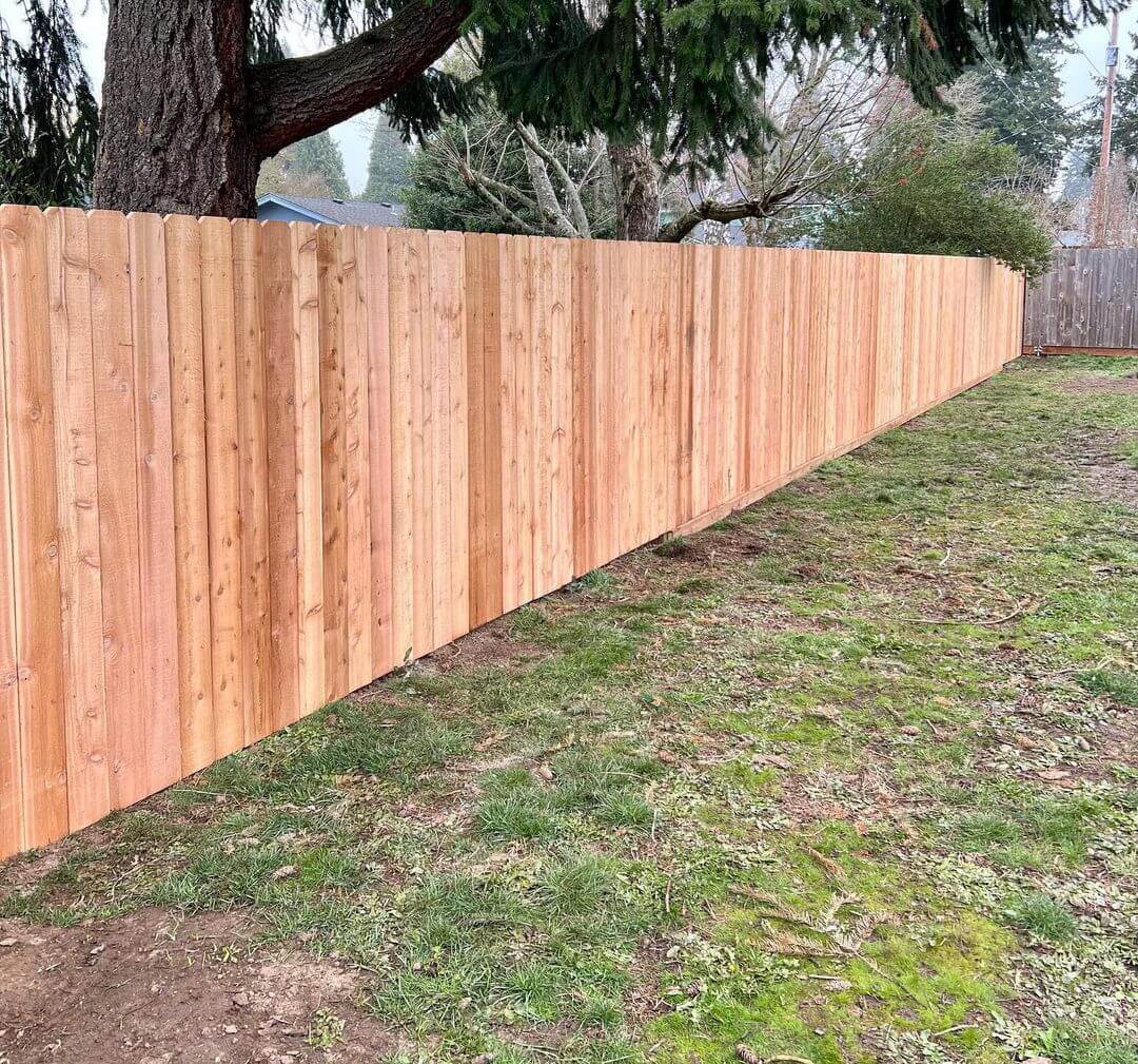Privacy Fences