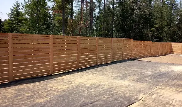 f97347_12c6a1231d6a4d189f031721d27b8748~mv2 (1)