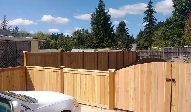 f97347_33d94f097a774b8fb8ae0ea6dacac1f8~mv2 (1)