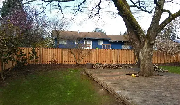 f97347_7f451eab534e465b948c08f5641a9e20~mv2 (1)