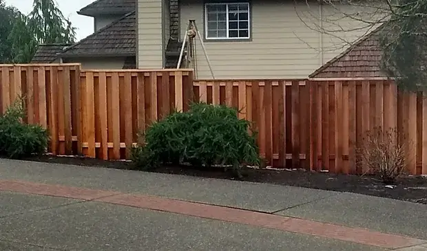 f97347_94fbf11c7aa44de79dc6444c45b154ee~mv2 (1)